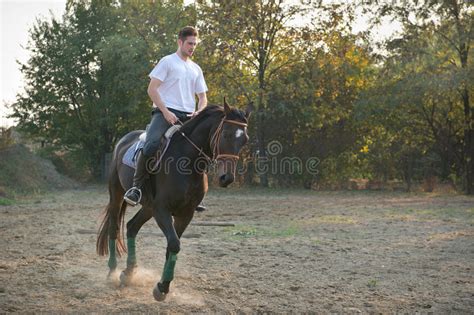 Young Man Riding Horse Stock Photo Image Of Dressage 27313564