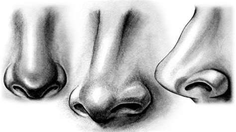 How to draw a Realistic Nose - YouTube gambar png