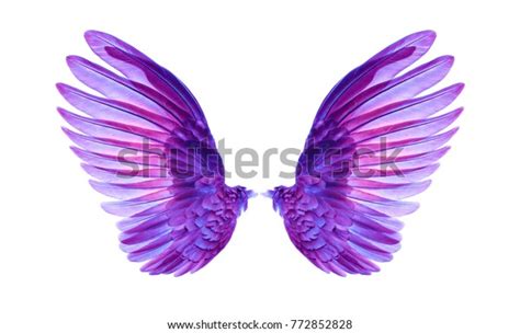 Purple Wings On White Background Stock Photo Edit Now 772852828