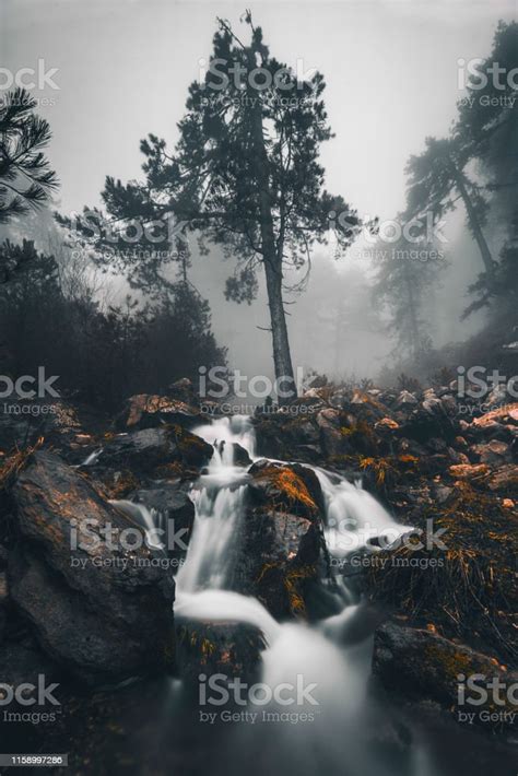 Dark Landscape Stock Photo Download Image Now Dark Fog Landscape