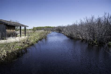 The village is an awesome place. Creek through the Marsh at Hecla Provincial Park image ...