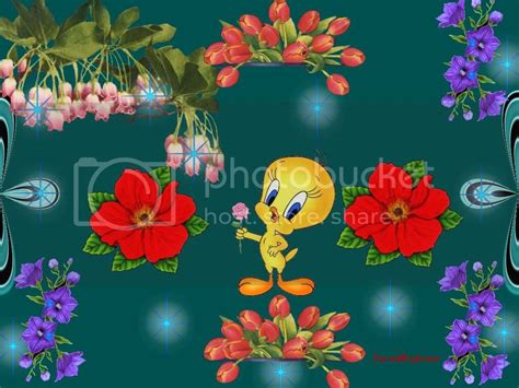 Tweety Bird Photo By Bretsgirl22 Photobucket