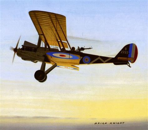 1917 Raf Re8 B2293 Brian Knight Windsock Aircraft Art Wind Sock