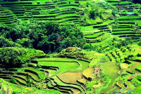 Banaue Rice Terraces In Ifugao Philippines Like And Follow Us For More