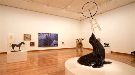 Christchurch Art Gallery Tours Book Now Expedia