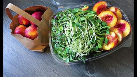 The businesses listed also serve surrounding cities and neighborhoods including san diego ca, chula vista ca, and el cajon ca. Hotel/Traveling Raw Vegan Fruitarian - Fast Food with The ...