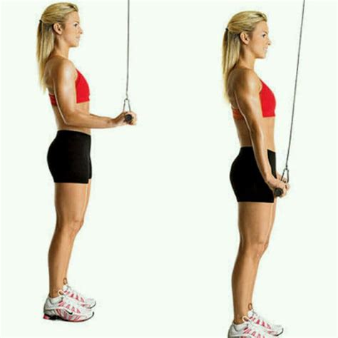 Tricep Cable Pushdown By Alicia Rodriguez Exercise How To Skimble