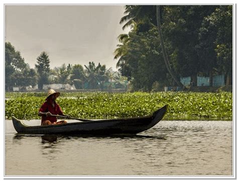 Best Time To Visit Kerala Backwaters Kerala Tourism Blog