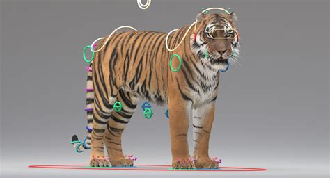 3d Tiger Rigger With Ornatrix Fur Model — Missset