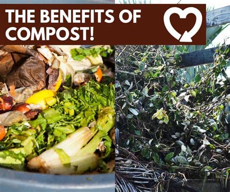 The Benefits Of Compost Featured Image 1 Stop Landscape Supply