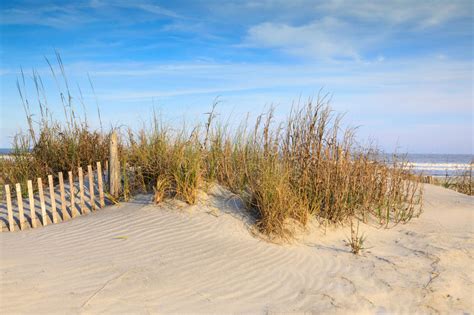 253 просмотра 5 лет назад. Amerika Strand Södra Carolina Fotografering för Bildbyråer ...