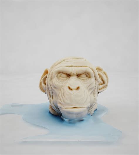 3d Model Monkey Head Cgtrader