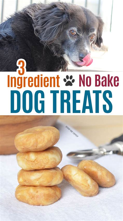 3 Ingredient No Bake Dog Treats Make Perfect Homemade Pill Pockets