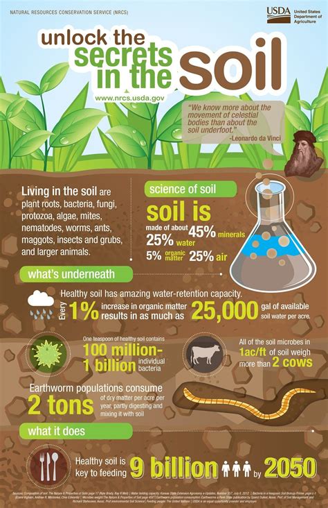 6 Fabulous Infographics About Soil Health Infographic Soil Health