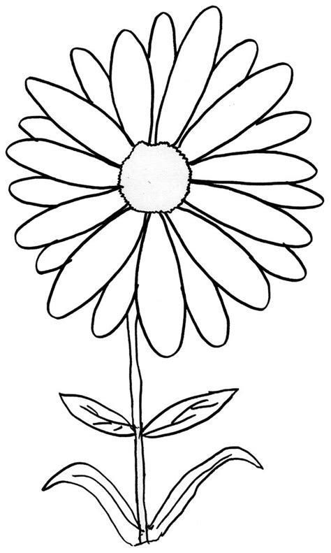 daisy coloring pages  coloring pages  kids