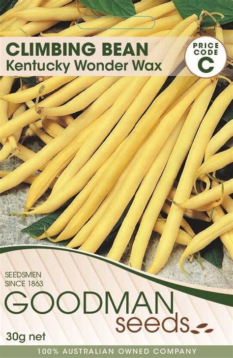 Beans Kentucky Wonder Wax Climbing Bean Goodman Seeds Flower And