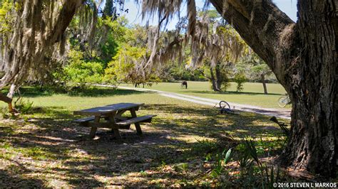 Cumberland is a city in and the county seat of allegany county, maryland, united states. Cumberland Island National Seashore | PICNIC AREAS