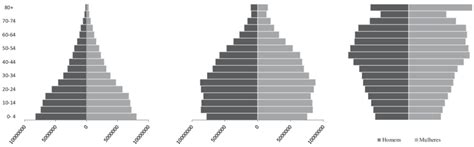 O Padrao Da Piramide Etaria Ilustrada
