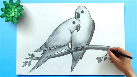 Bird Drawing How To Draw Parrots Love Bird Drawing Easy Bird