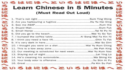 Learn to speak chinese confidently with an expert tutor. Learn Chinese in 5 minutes | imghumour