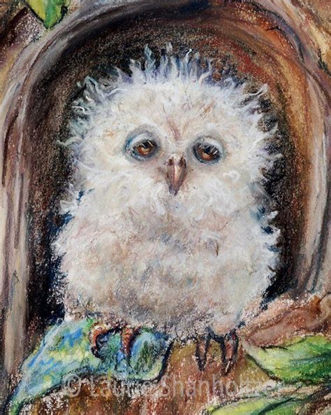 Owl Nursery Baby Animal Woodlands Rolled Canvas Or Enhanced Etsy