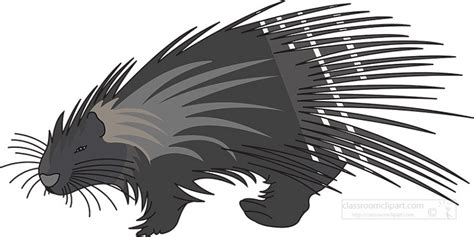 Porcupine Clipart Porcupine Rodent Mammal Outline Cutout Printable Clip Art