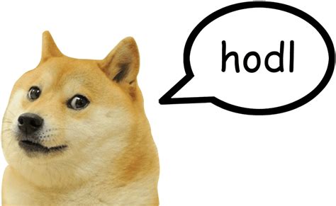 Doge Png Doge Meme Clipart Full Size Clipart 3716571 Pinclipart