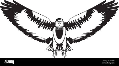 American Bald Eagle Emblem Vector Illustration Design Stock Vector