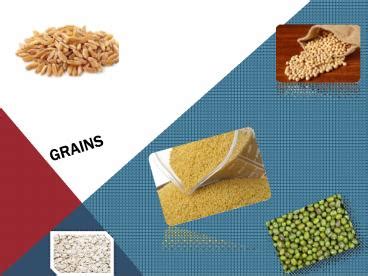 Ppt Grains Powerpoint Presentation Free To Download Id B A M Nly