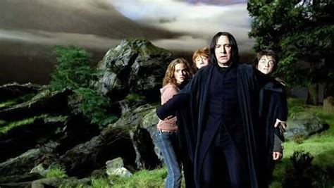 The entire harry potter series was out of the imagination of harry to escape a traumatized childhood. Severus Rogue : qui est qui dans la saga Harry Potter ...