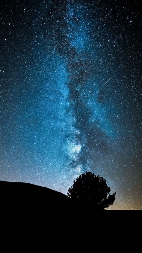 Download Wallpaper 1440x2560 Night Tree Starry Sky Dark Milky Way