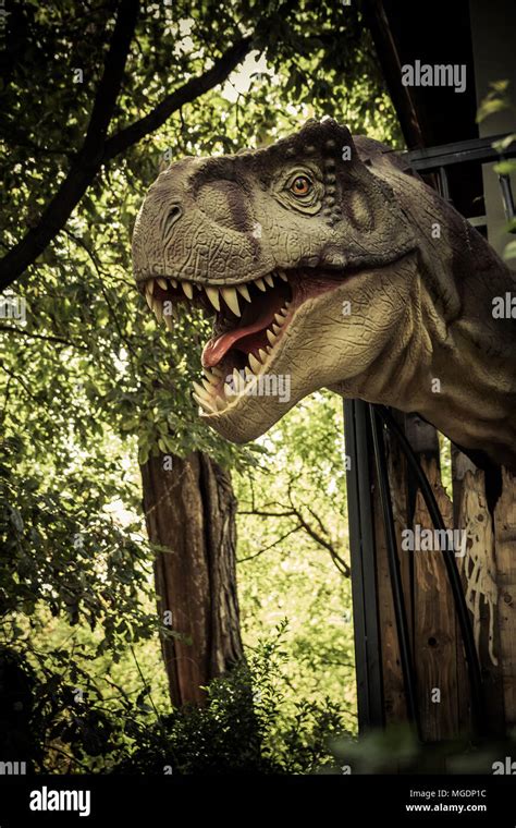 Tyrannosaurus Rex Im Wald Stockfotografie Alamy
