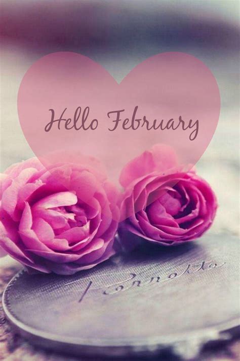 Hello February Seasons Months Days And Months Months In A Year 12