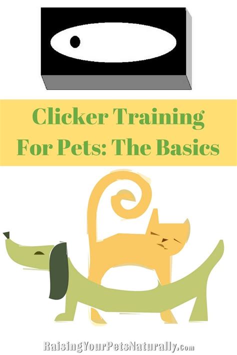 Clicker Training Training Cats Vs Dogs What You Need To Know Hyaenidae