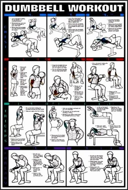 Dumbbell Exercises For Abs Pdf
