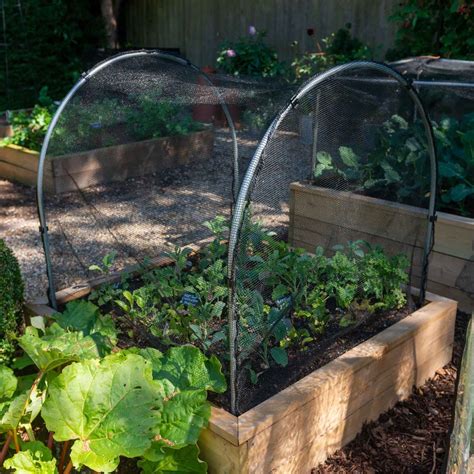 Fitted Hoops And Butterfly Net Cover Kits Harrod Horticultural Uk