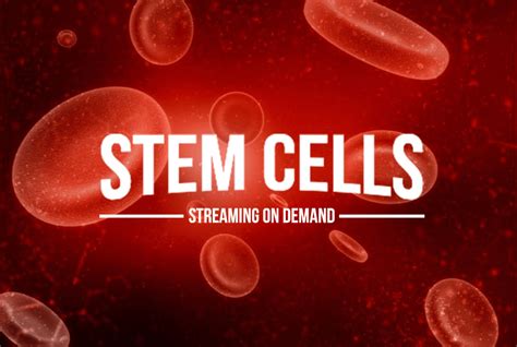 Streaming Stem Cells