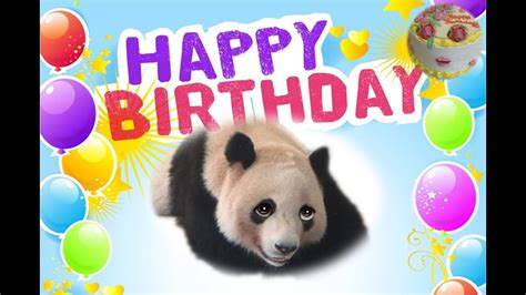 Funny Panda Singing Happy Birthday To You Youtube