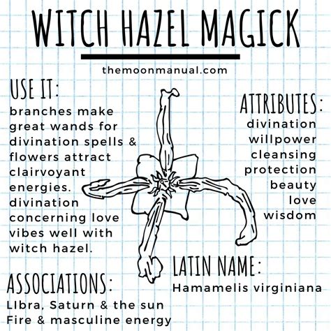Witchcraft Herbs Green Witchcraft Witchcraft Spell Books Wiccan