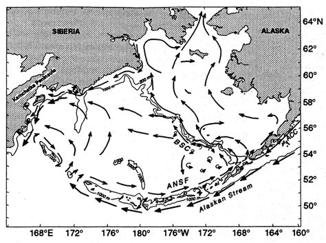 Stabeno Et Al The Physical Oceanography Of The Bering Sea