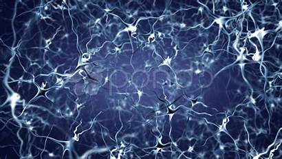 Network Neuron Wallpapers Neural Neurons Brain Wallpapersafari