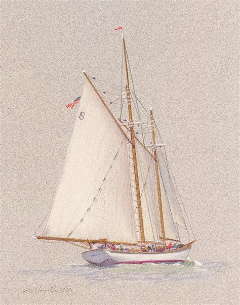 Schooner Zodiac Starboard Quarter Drawing By John Ursillo Fine Art