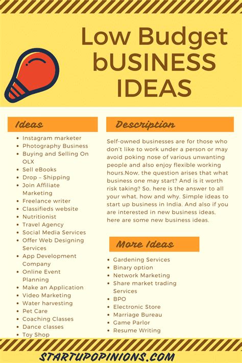 It does no matter that whether the person starting this business owns his own website or not. 51 low budget profitable business ideas for beginners ...