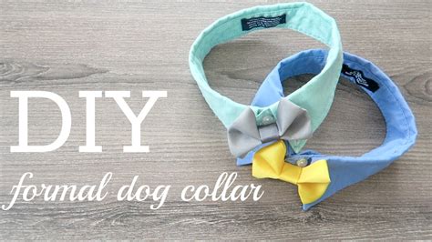 Diy 3 Formal Dog Collar And Call For Collab Youtube