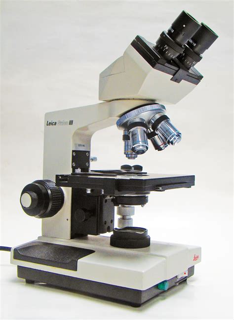 Imagem De Microscópio óptico