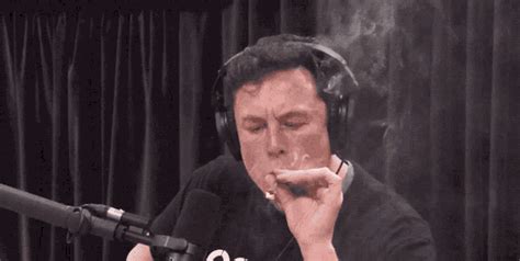 Elon Musk Smoking  Elon Musk Smoking Blunt Discover And Share S