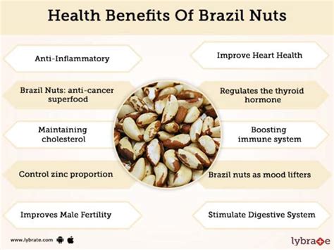 Benefits Of Brazil Nuts And Its Side Effects Lybrate