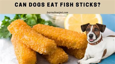 Can Dogs Eat Fish Sticks 5 Safe Ways To Cook Fish Sticks At Home