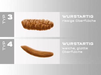 Über den stuhlgang zu sprechen, ist oft unangenehm, aber trotzdem sehr wichtig. Bristol-Stuhlformen-Skala: Das verrät Ihr Kot über Ihre ...