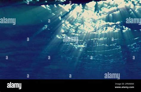 Underwater Sunbeams Stock Videos And Footage Hd And 4k Video Clips Alamy